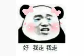 再来一组熊猫表情包图片