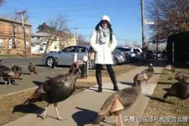 25只变600万只!这么吓人的东西在美国泛滥成灾，中国这次拒收转载图片