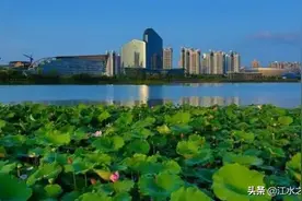 北大清华入选资格：达州9人，广安3人，南充遂宁各2人，降10-60分图片