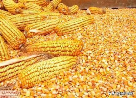 防霉剂和脱霉剂在饲料中的应用