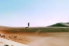 十年磨一剑 砺得梅花香图片