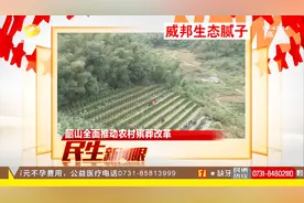 韶山部署整治殡葬领域突出问题，全力推进移风易俗视频封面