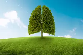 有了肺结节，百万医疗这样买图片