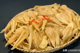 很多人差点把鱼胶给毁了，学会这个小技巧做出的鱼胶既营养又好吃图片