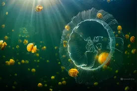 「建议收藏」《行政处罚法》中的法定期限梳理图片