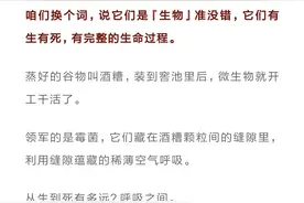 山荣说:茅台镇的麻雀，为啥说也有三两酒量？图片