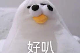 你礼貌吗？图片