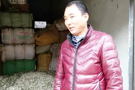 收购干药材挣钱吗？农村大哥有窍门，你觉得他说的有道理吗？视频封面