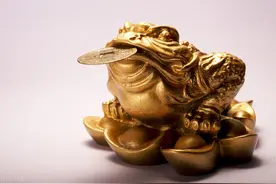 农村俗语“不怕蛤蟆进家门，就怕三树立门头”，啥意思？在理吗？图片