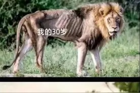 最新！三孩生育政策来了！在天津生孩子都能享受什么待遇？图片