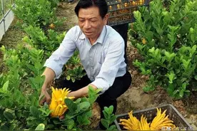 农村生活着一些返乡养老的退休人员，每天闲逛真是让村里人羡慕图片