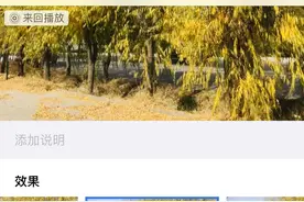 苹果手机摄影介绍图片
