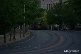 每天唤醒城市的百年历史的大连有轨电车图片