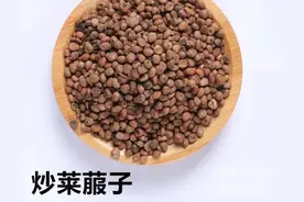 中药古今研究：莱菔子图片