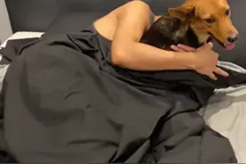 小哥醉酒后抱着流浪狗子唱歌，执意带狗回家，醒来后人狗都火了图片