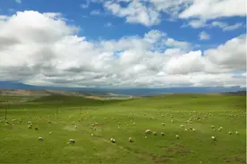 基因指纹说出青藏高原的秘密：曾经，我也是热带动物的天堂图片