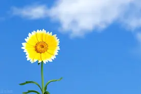 取保候审的所有好结果图片