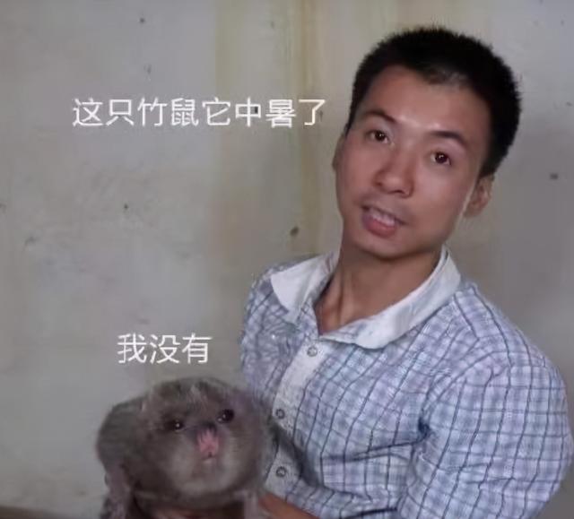 鸡皮疙瘩2在线观看带字
