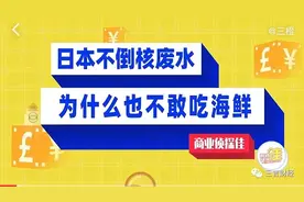 三橙、回形针、科学松鼠会三个科普大V接连翻，他们背后有个共同的投资方图片