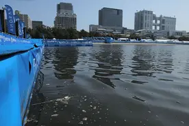 真“臭水沟”？东京奥运会粪水事件后，再现小黑虫爬满选手后背图片
