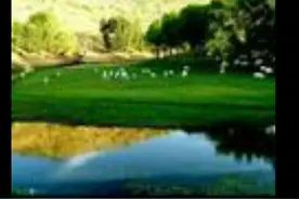 谈喂养的羊图片