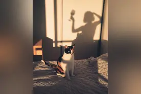 原来这就是“青蛙效应”：今年这个特殊情况，你我更值得一看图片