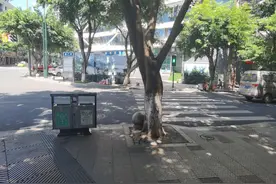 叙州区及时增设分类垃圾桶  获市民点赞图片