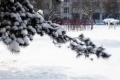 新疆这些地方雨雪到来 雪地胎换起来图片