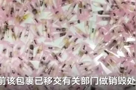 海关查获名为“牙科耗材”的包裹 打开竟是密密麻麻406只活蚂蚁图片