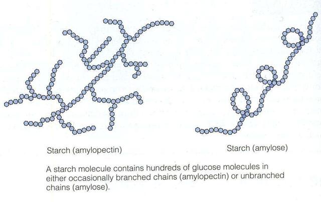 米饭脱糖概念真的全是伪科学？——还得看实际产品