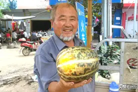 安徽老人种植传统甜瓜，靠卖回忆赢得市场，喜爱的人千里寻宝图片