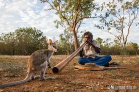 鳄鱼、袋鼠、鸸鹋都成菜肴，澳洲土著至今保存哪些奇葩餐食习惯？图片
