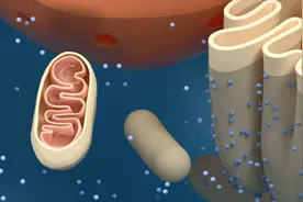 糖尿病是可以遗传的！具体得看你是哪种类型的糖尿病图片