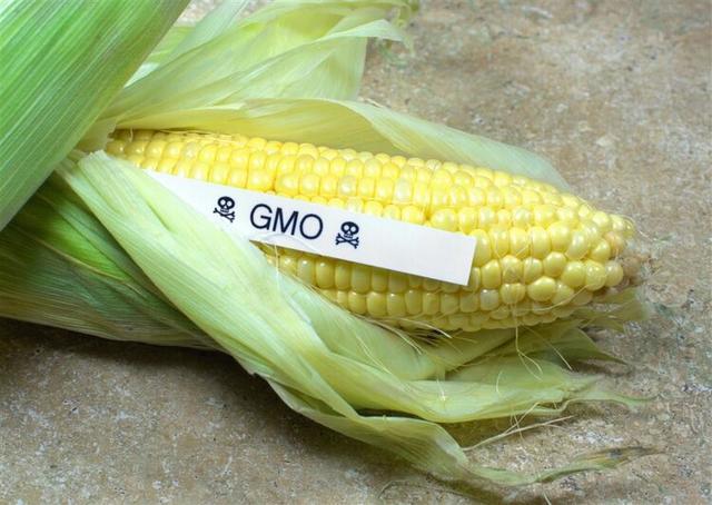 能买到的转基因食品有哪些？6种食品，看看包装就一目了然