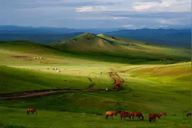 蒙古国派出200辆卡车，目的地在中国，这是有大动作吗？图片