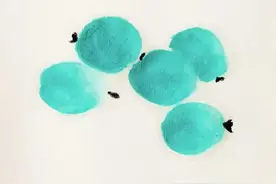 开胃通胆生津止渴，夏天的味道就是它——梅子图片