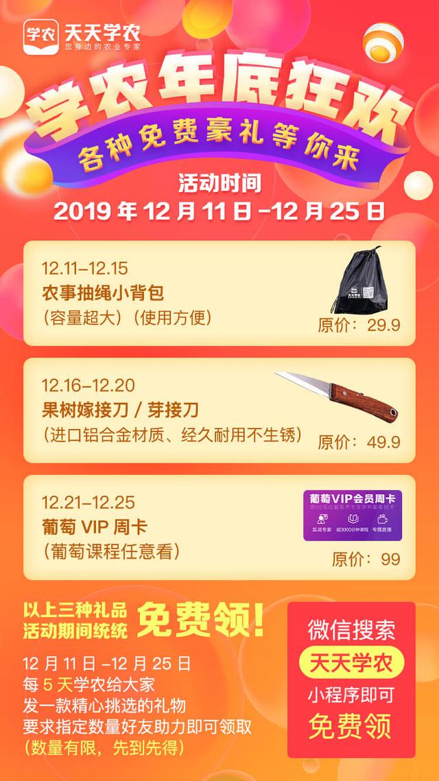 葡萄伤流，像是葡萄在“流泪”，让人心疼！这样做，完全可以避免