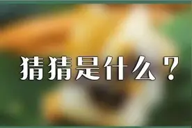 汕头这家海鲜城“不务正业”卖起了这个？竟引起无数人慕名而来图片