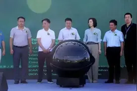 桂海晴岚公共艺术节：公共艺术在桂林山水里演绎“青绿无边”图片