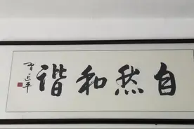 一位老者与山林的四十载春秋......图片