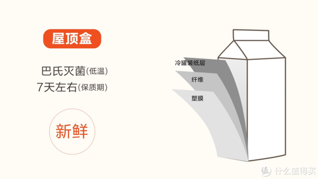 法国塑身体乳哪个品牌好