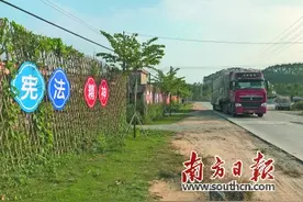 江门鹤山双合镇“黑商”终审判决，麦氏兄弟均获刑二十五年图片