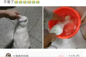 神评爆笑合集：男生宿舍大都比女生宿舍和谐，这是为什么？图片