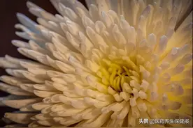 老人的耳聋耳鸣怎么办？巧用药膳方来缓解图片