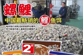 老鬼鱼饵钓友们常用钓鲤鱼的配方图片