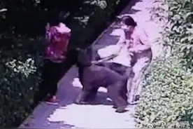 人民日报评安阳狗咬人：作风之弊、作为之垢该检修图片