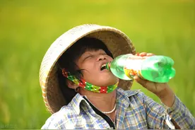 夏至农村有3句预判天气的谚语，还有“三禁三避”的说法，有道理图片