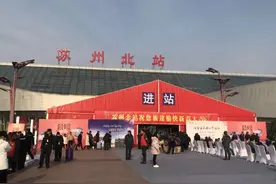 细数苏州城市建设规划的重大失误图片