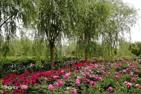 描写夏天的好词、好句、好段、好诗，孩子作文肯定用得上！图片