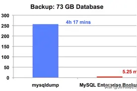 MySQL中如何选择合适的备份策略和备份工具图片